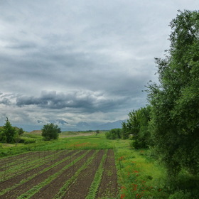 Фотографии из путешествия. Окрестности Алматы.