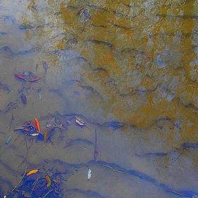 Случайные фотографии. Фото