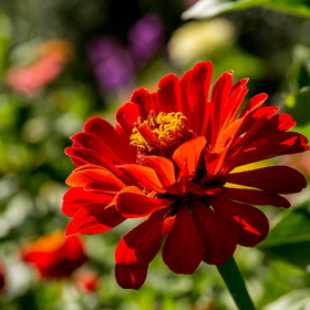 Случайные фотографии. Фотографии природы