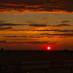 Случайные фотографии. Природа, фотосъемка