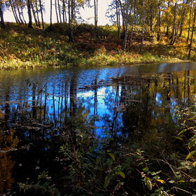 Лучшие фото. Природа (0)