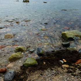 Природа. Балтийское море.