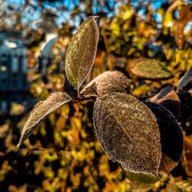 Лучшие фото. ПРИРОДА (0)