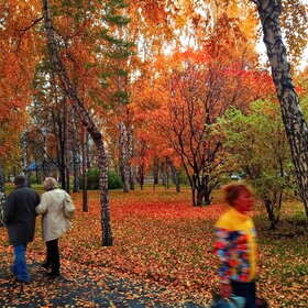 Лучшие фото. ПРИРОДА (0)