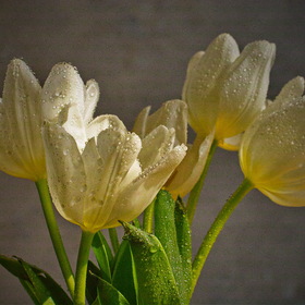 Природа