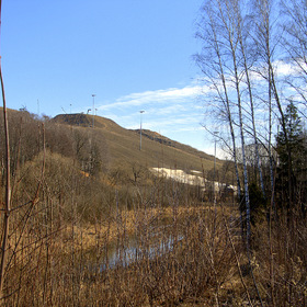 Лисья гора