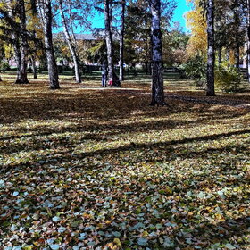 Лучшие фото. ПРИРОДА (0)