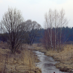 Город
