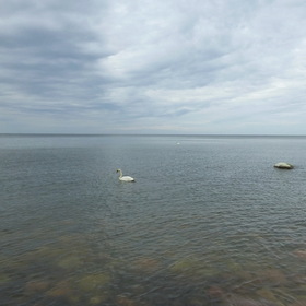 Photo Nature. Балтийский берег.