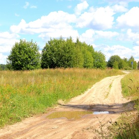 Полевая дорога