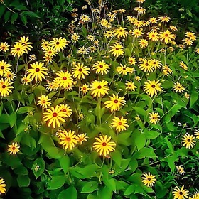 Случайные фотографии. Фото