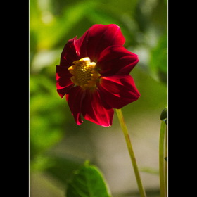 Природа