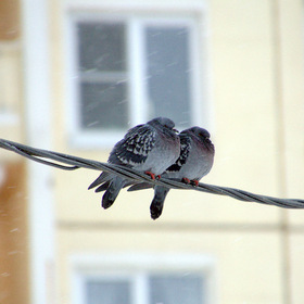 Вместе теплее