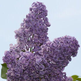 Лучшие фото. ПРИРОДА (0)