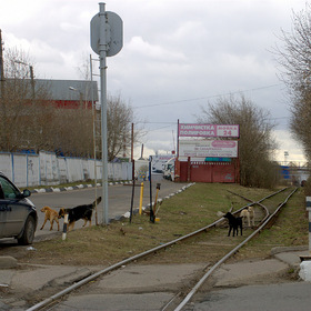 Фотографии моего города