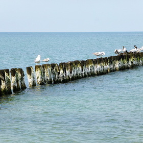 Природа, фотосъемка. Балтийское море.