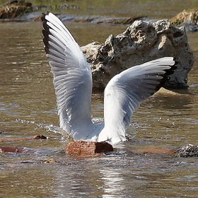 Случайные фотографии. РЫБАЛКА