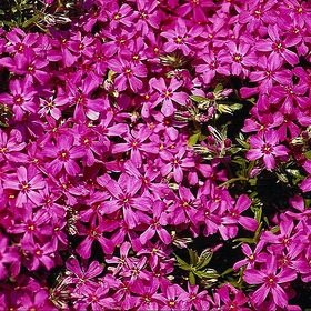 Случайные фотографии. Фото