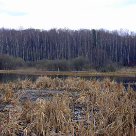 Пехорка апрель