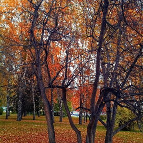 Лучшие фото. ПРИРОДА (0)