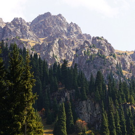 Nature Life