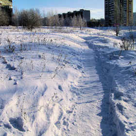Городское фото