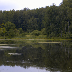 Пехорка в Кучино