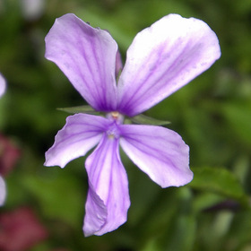 Летнее