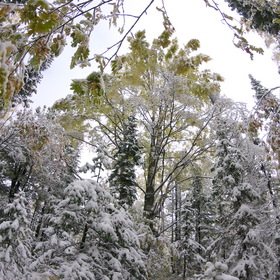 Случайные фотографии. Фотографии из путешествия