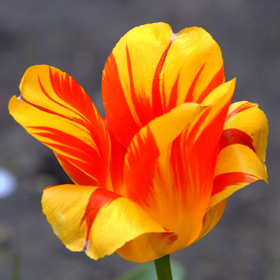 Фото