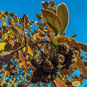 Лучшие фото. Природа (0)