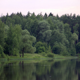 Лесное озеро