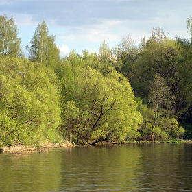Берега