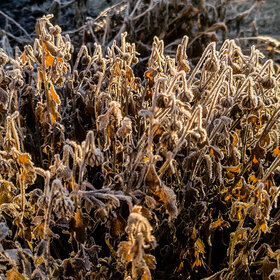 Лучшие фото. ПРИРОДА (0)