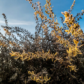 Лучшие фото. ПРИРОДА (0)