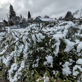 Лучшие фото. ПРИРОДА (0)