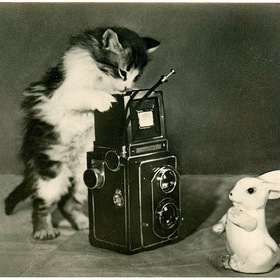    ,   1955 .