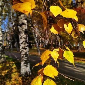 Лучшие фото. ПРИРОДА (0)