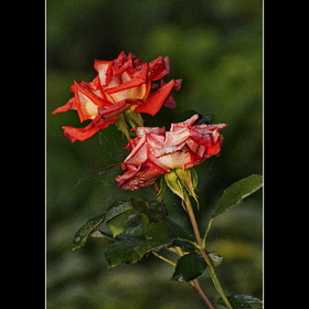 Природа