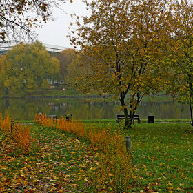 Городской парк