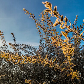 Лучшие фото. Природа (0)