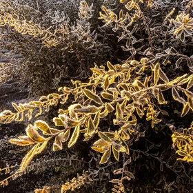 Лучшие фото. ПРИРОДА (0)