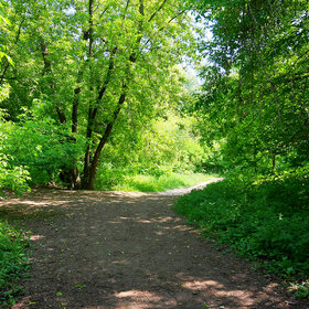 Лучшие фото. Кузьминский парк (0)