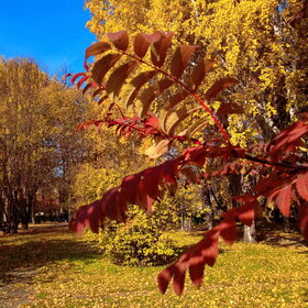 Лучшие фото. ПРИРОДА (0)