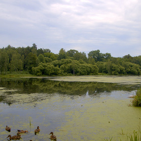 Пехорка в Кучино