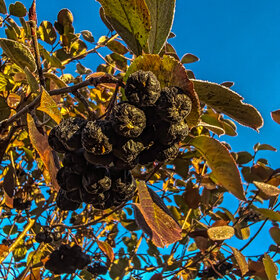 Лучшие фото. ПРИРОДА (0)