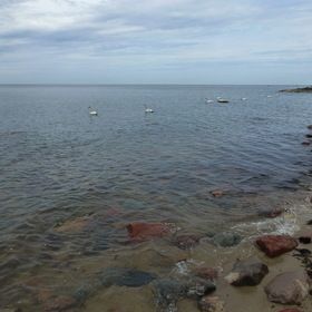 Photo Nature. Балтийский берег.