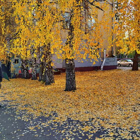 Лучшие фото. Природа (0)