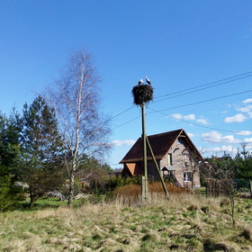 Природа, фотосъемка.