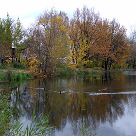 Уточки